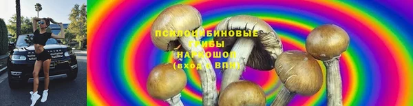 спиды Нефтекумск