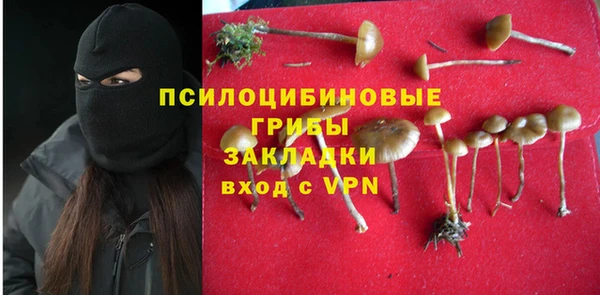спиды Нефтекумск