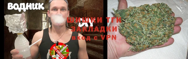 твердый Новозыбков