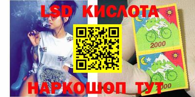 спайс Кингисепп