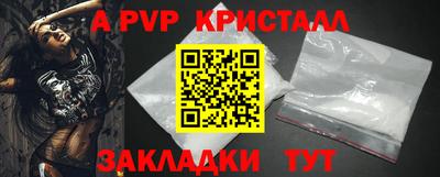 спайс Кингисепп