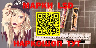 спайс Кингисепп