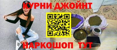 спайс Кингисепп