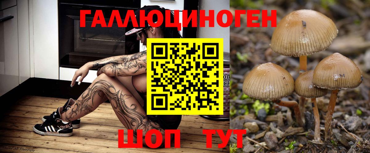 Галлюциногенные грибы мухоморы  Вход с VPN  Полевской  Псилоцибиновые грибы GOLDEN TEACHER 